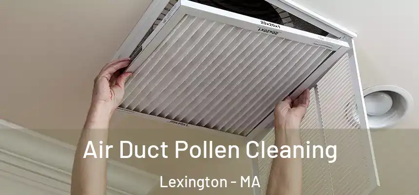  Air Duct Pollen Cleaning Lexington - MA