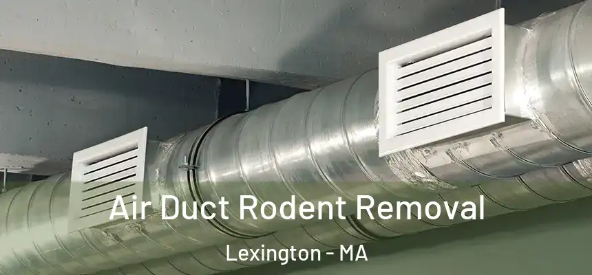  Air Duct Rodent Removal Lexington - MA