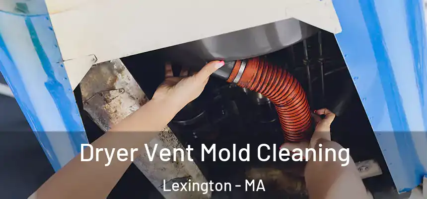  Dryer Vent Mold Cleaning Lexington - MA
