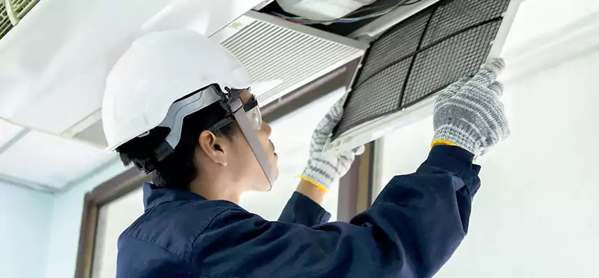 Our Mold & Mildew Removal from Air Ducts Services in Lexington, MA