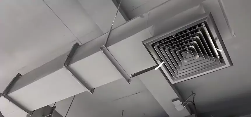 Our Pest Removal From Ducts Services in Lexington, MA