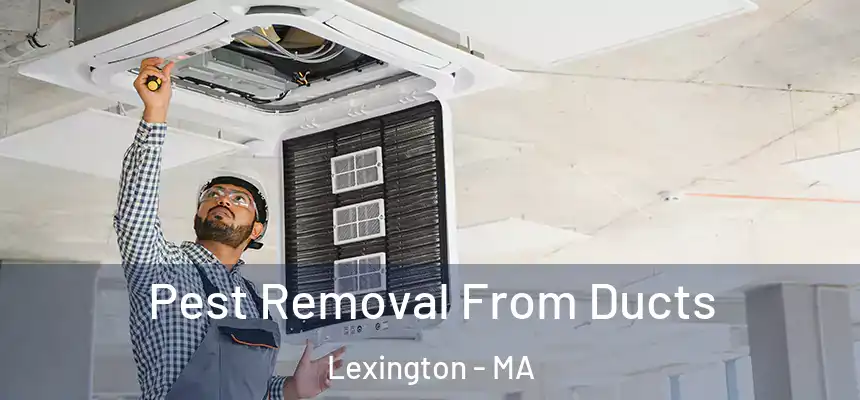  Pest Removal From Ducts Lexington - MA