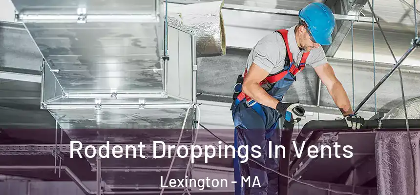  Rodent Droppings In Vents Lexington - MA
