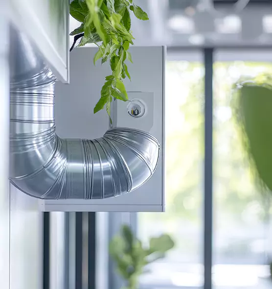 Professional Eco-Safe Dryer Vent Cleaning in Lexington, MA