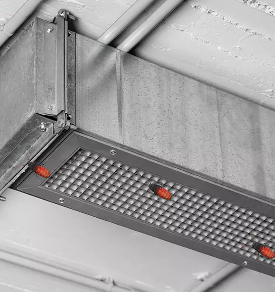 Affordable Insect Removal from Air Ducts in Lexington, MA