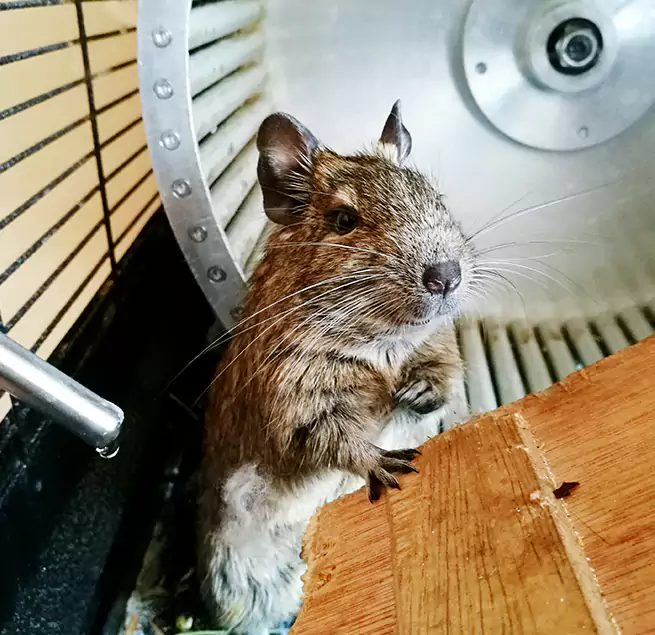 Why Homeowners & Businesses Trust Us Lexington, MA