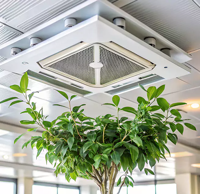 Why Homeowners & Businesses Trust Us in Lexington, MA?